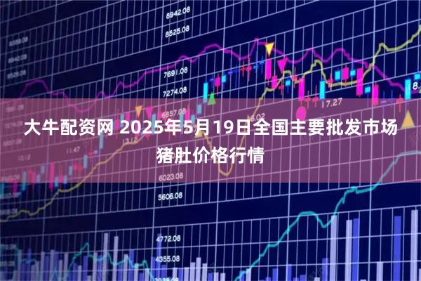 大牛配资网 2025年5月19日全国主要批发市场猪肚价格行情