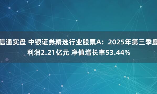信通实盘 中银证券精选行业股票A：2025年第三季度利润2.21亿元 净值增长率53.44%