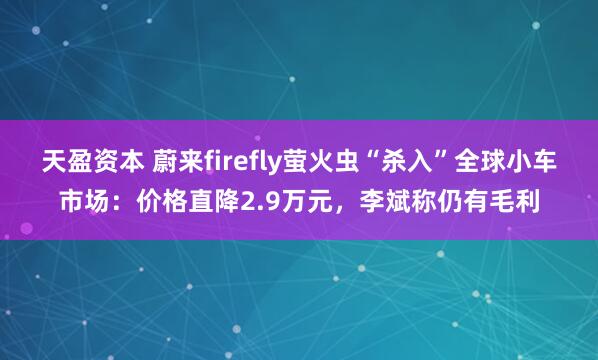 天盈资本 蔚来firefly萤火虫“杀入”全球小车市场：价格直降2.9万元，李斌称仍有毛利