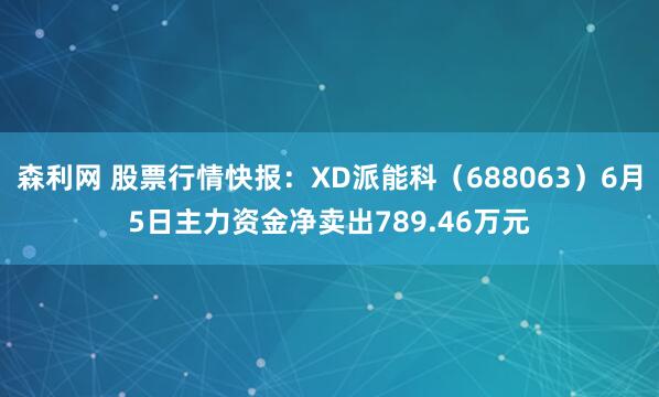 森利网 股票行情快报：XD派能科（688063）6月5日主力资金净卖出789.46万元